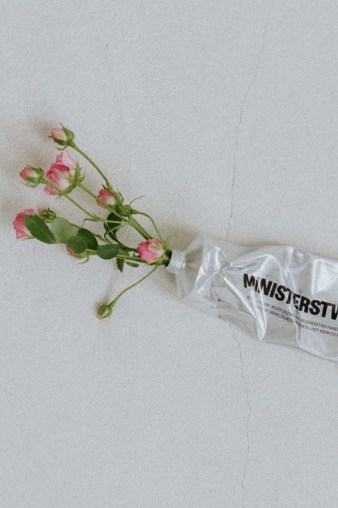 Rose-Raspberry - regenerating hand cream